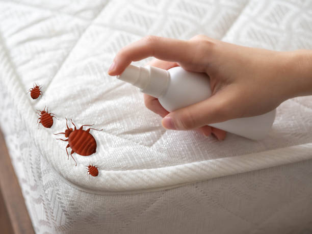 Best Indoor Pest Control  in Taylor, AZ